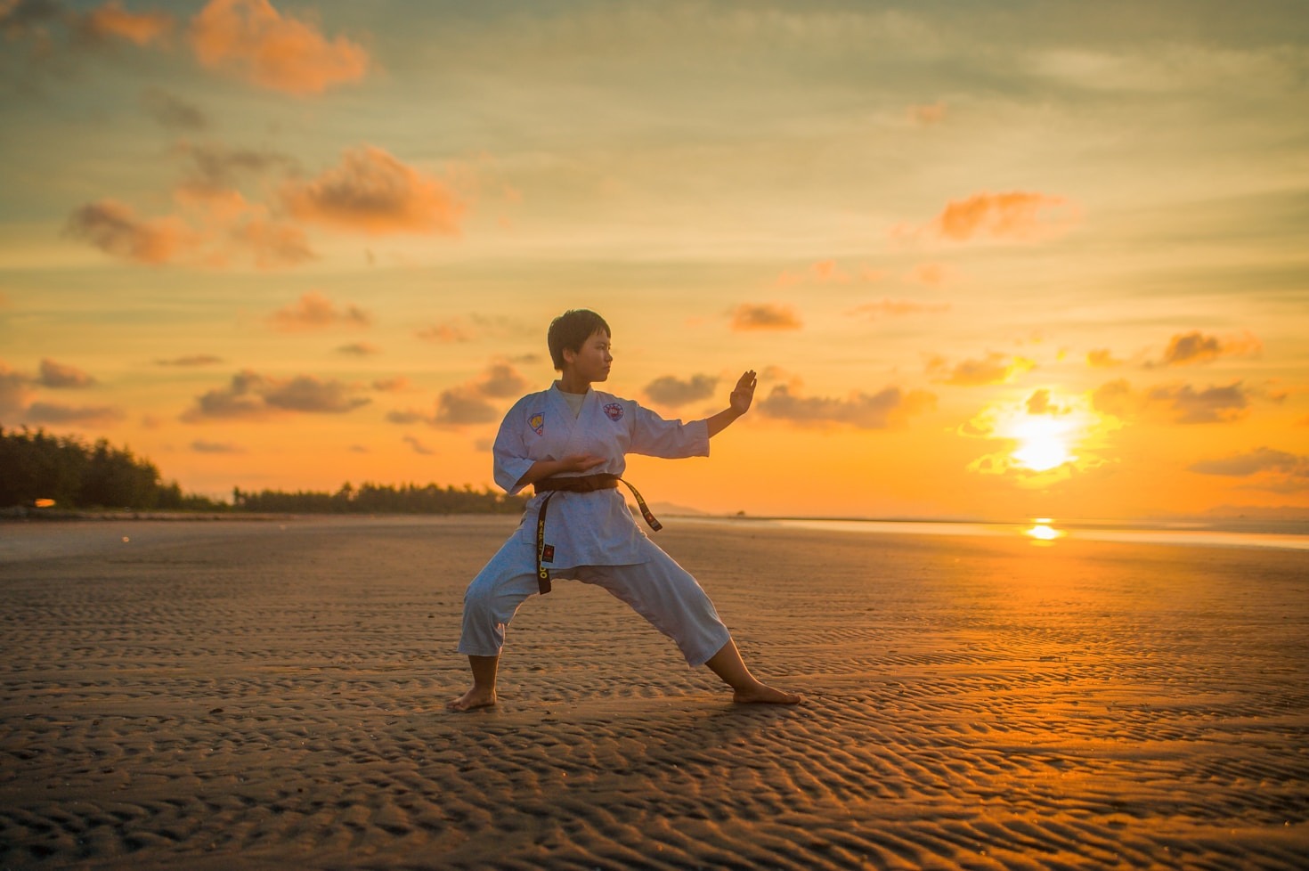 The Role of Discipline in Karate-do Training