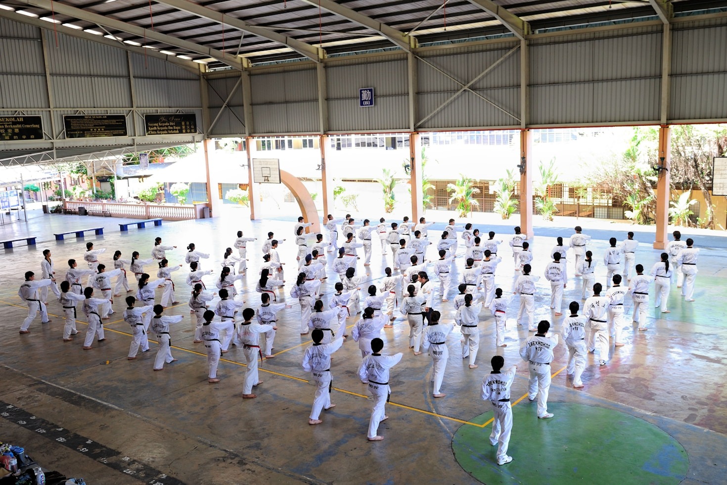 The History and Evolution of Judo as a Martial Art